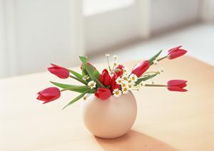 東京都新宿区にあるタカラスタンダードの新宿ショールームの魅力と最新情報